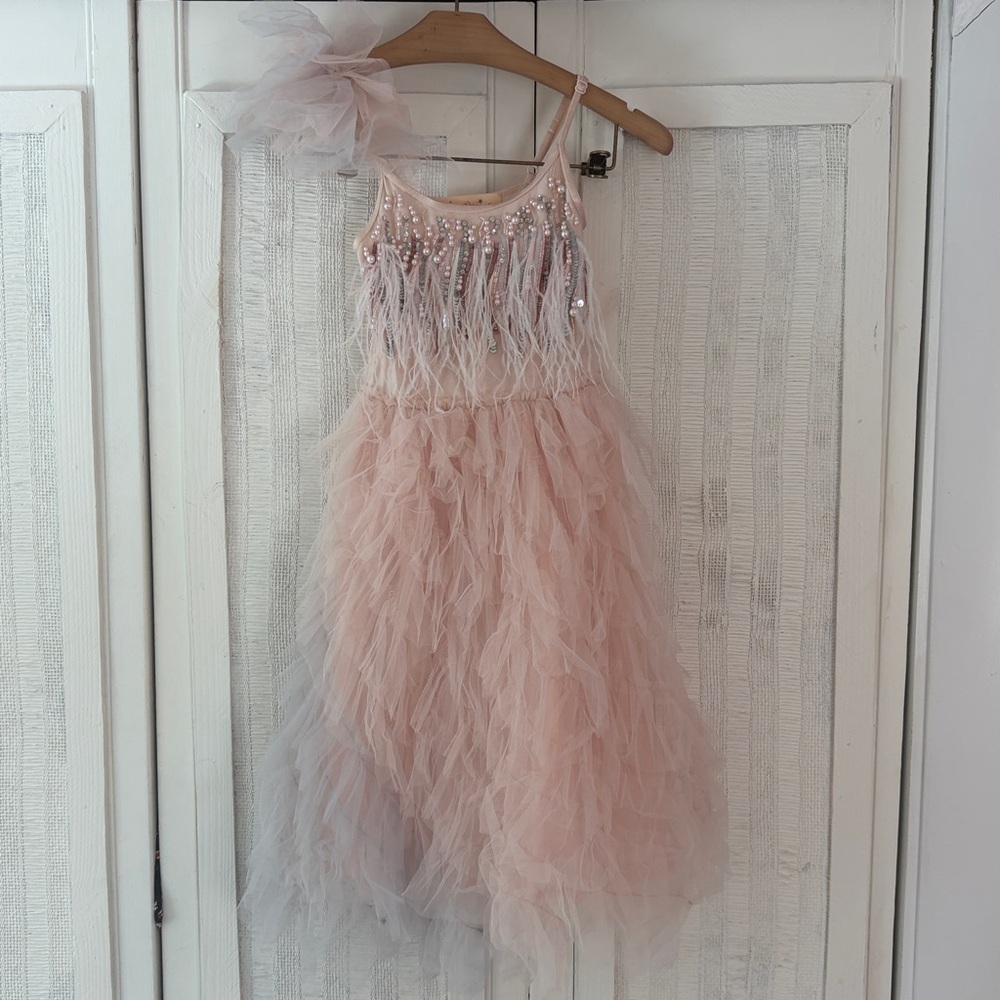 Tutu Du Monde beaded and featherSequin Layered Tutu PINK and gray Size 6 / 7
